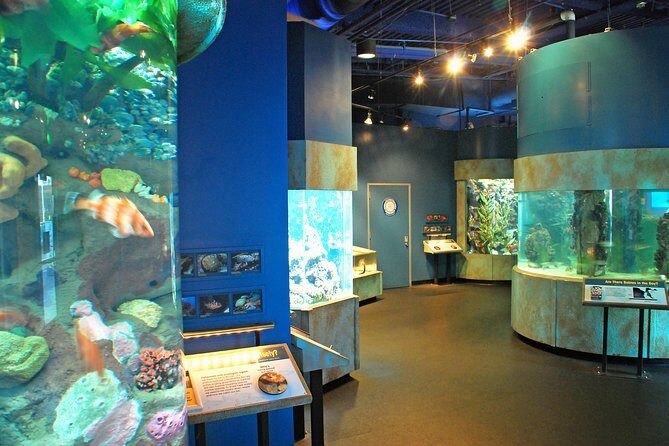 Aquarium of the Bay General Admission Ticket - FAQs