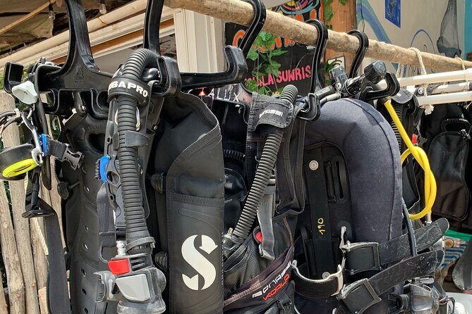 Aquatic Wonderland: Discover Meso's Magic" - Equipment Rental and Additional Costs