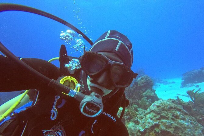 Aquatic Wonderland: Discover Meso's Magic" - Who Should Consider This Tour?