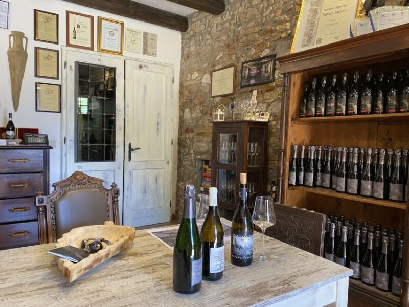 Aquileia: Winery Tour and Tasting - The Sum Up: Who Should Consider This Tour?