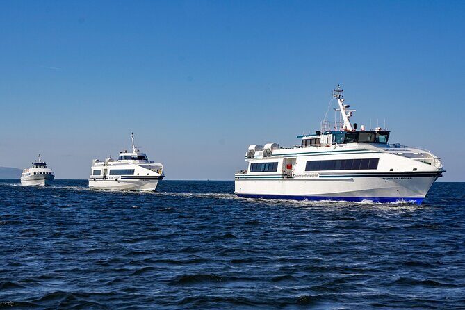 Aran Islands and Cliffs of Moher Day Cruise sailing from Galway City Docks - Who Is This Tour Best For?