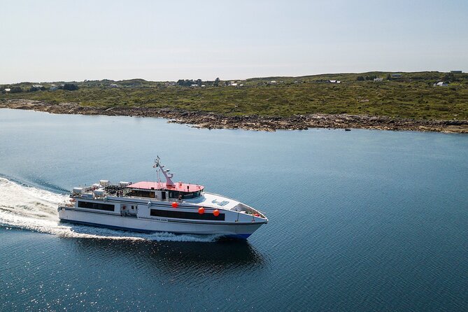Aran Islands and Cliffs of Moher Day Cruise sailing from Galway City Docks - Wildlife at Sea: Puffins, Dolphins, Seals, and Sometimes More