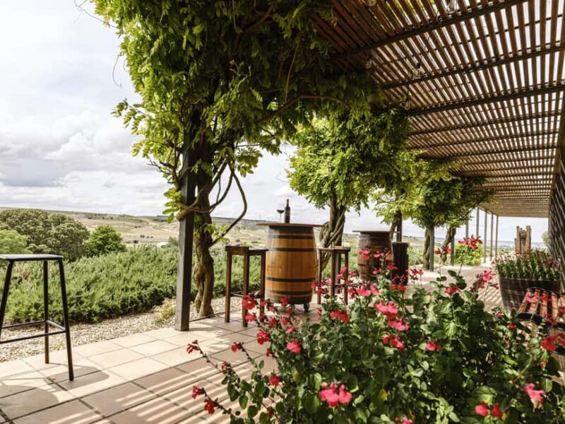 Aranda de Duero: Bodegas Valdubón - A gastronomic visit - What to Expect from the Bodegas Valdubón Tour