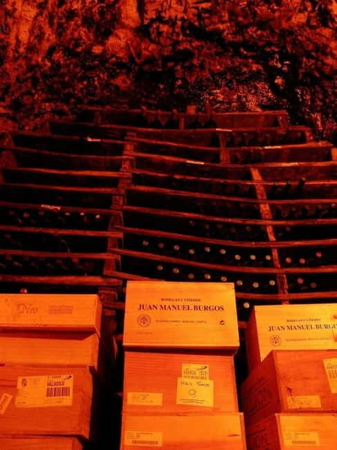 Aranda de Duero: Guided and Dramatized Visit to Medieval Wi - What to Expect from the Tour