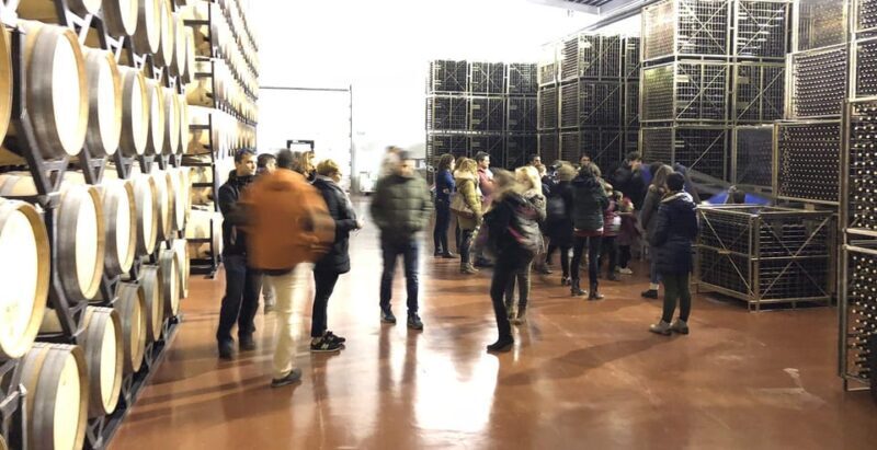 Aranda de Duero: Martín Berdugo Winery - Tour and Tasting - Who Is This Tour Best for?