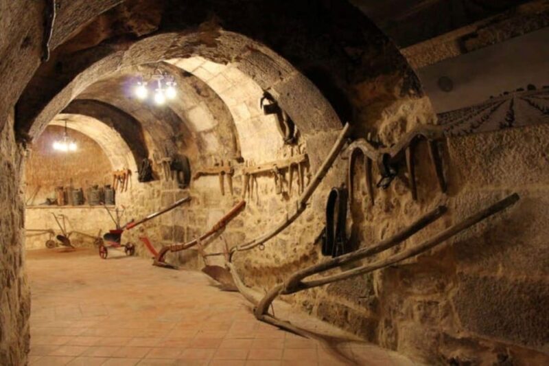 Aranda de Duero: Tour of Underground Cellar and Wine Museum - What’s in Store on the Tour