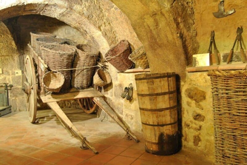 Aranda de Duero: Tour of Underground Cellar and Wine Museum - What We Loved