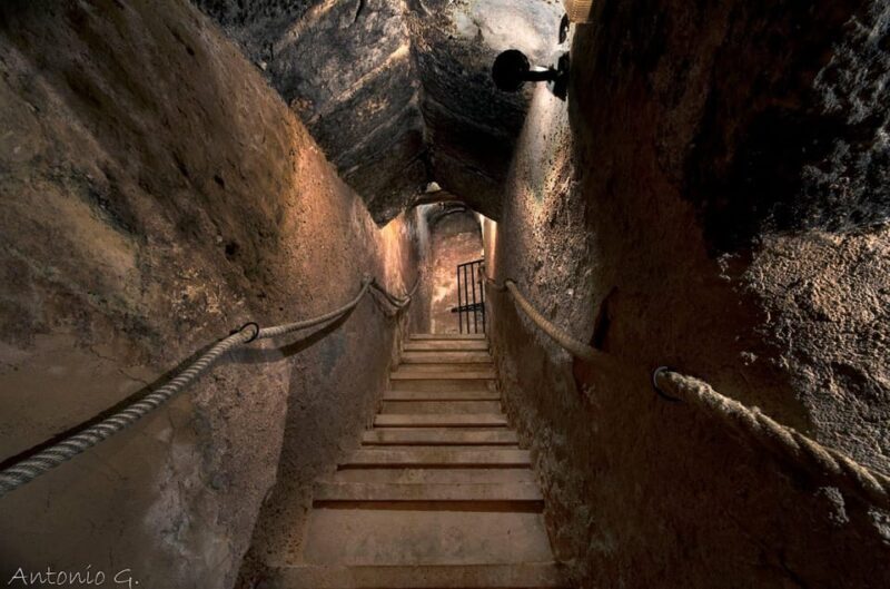 Aranda de Duero: Wine Tasting Course with Iberian Tasting - The Atmosphere and Experience