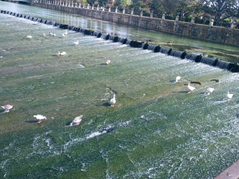 Aranjuez: City and Gardens Guided Walking Tour - Key Points