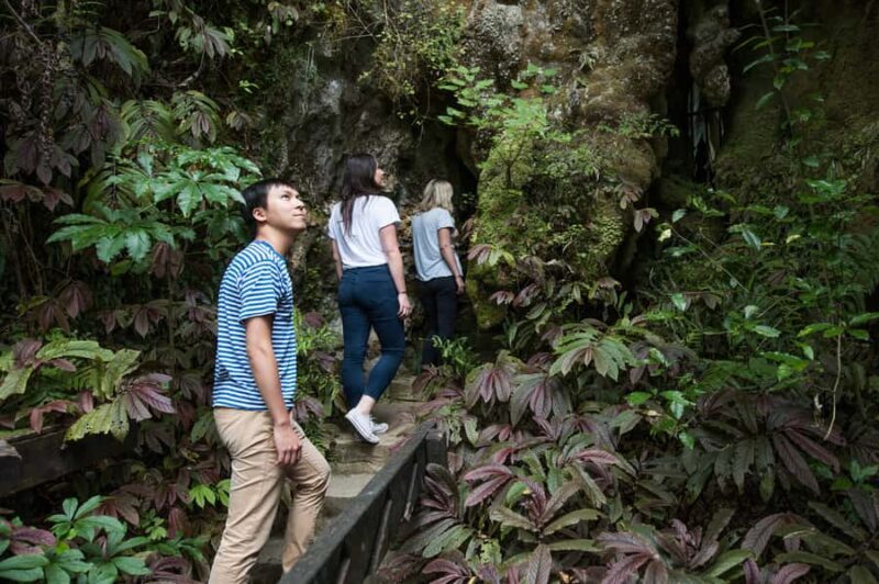 Aranui Cave 1-Hour Guided Tour - Tour Logistics: Practical Tips