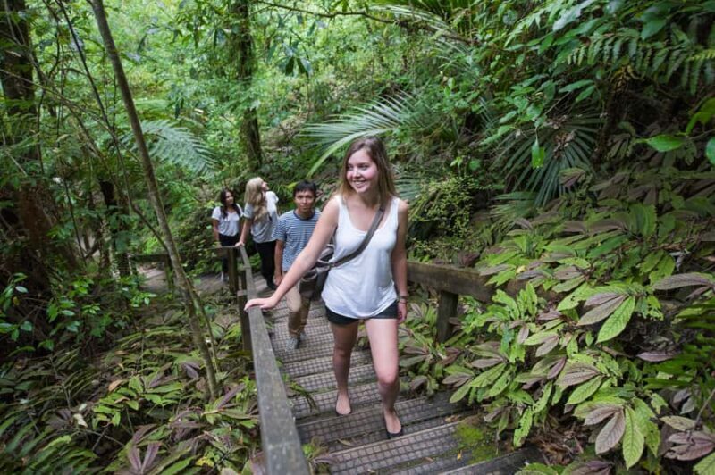 Aranui Cave 1-Hour Guided Tour - Is It Suitable for Everyone?