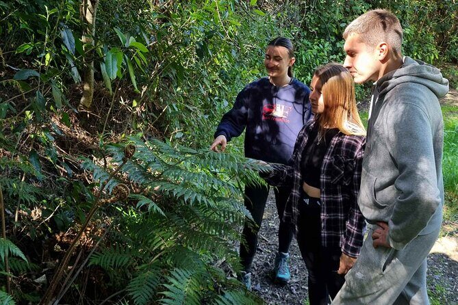 Arataki Conservation - our Journey to Protect our Whenua (land) - Who Should Consider This Tour?