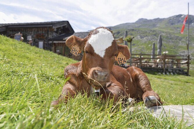 Aravis Massif and visit to Chamonix - What’s Included and What to Keep in Mind