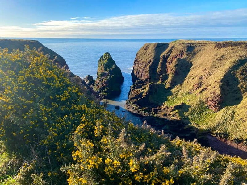 Arbroath: Seaton Cliffs Guided Walking Tour with Geologist - A Detailed Look at the Tour Experience