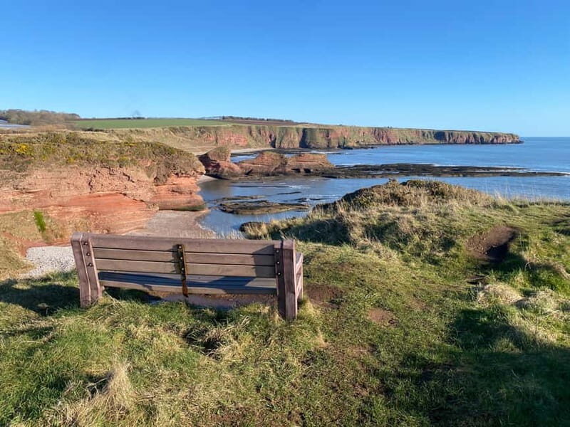 Arbroath: Seaton Cliffs Guided Walking Tour with Geologist - Geological Highlights