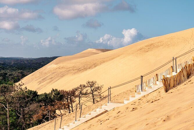 Arcachon Bay Full Day Trip from Bordeaux with lunch and Pyla Dune - Is This Tour Worth It?
