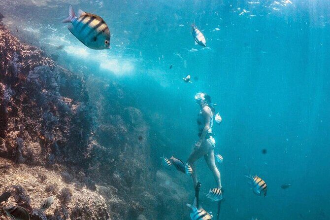 Arch Boat Tour and Snorkeling at Pelican Rock - Wrapping It Up