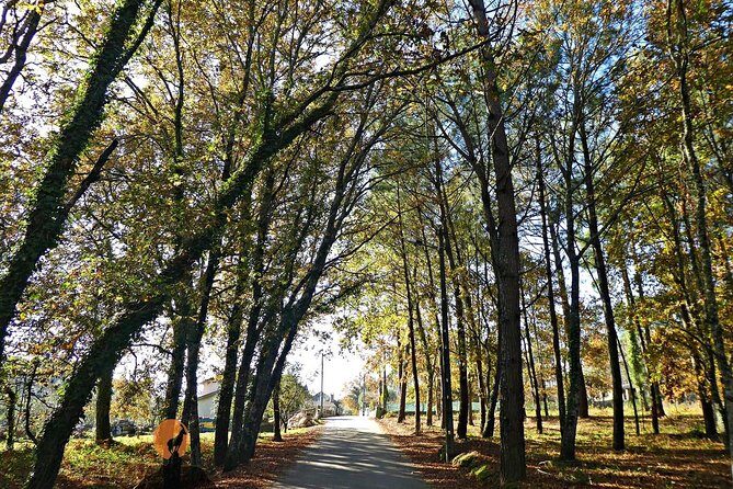 Archaeological Circuit of Fiais/Azenha and Cova da Moira - What’s Included and How It Works