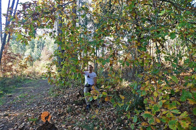 Archaeological Circuit of Fiais/Azenha and Cova da Moira - Tasting Regional Products