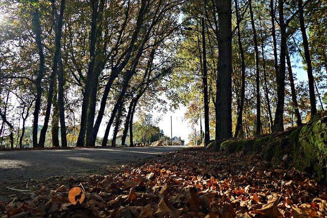 Archaeological Circuit of Fiais/Azenha and Cova da Moira - Final Thoughts: Is It Worth It?