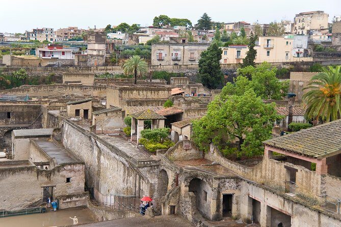 Archeological Herculaneum Private & Personalized Guided Tour - What to Expect from the Tour
