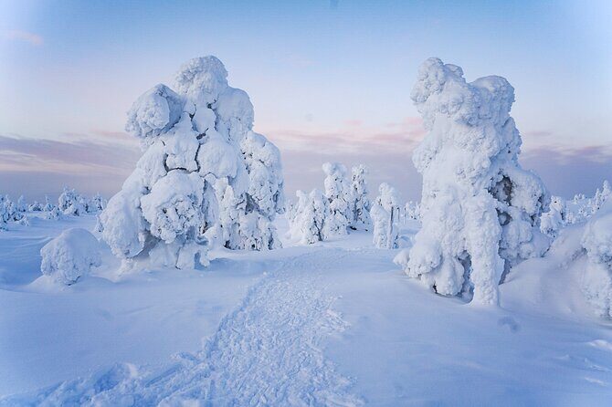 Arctic Adventure through Magical Frozen Forests of Riisitunturi - Final Thoughts: Is It For You?