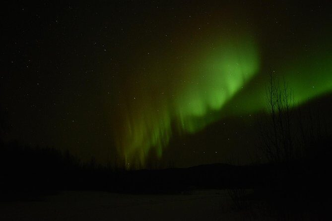 Arctic Circle and Northern Lights Tour from Fairbanks - Who Is This Tour Best For?