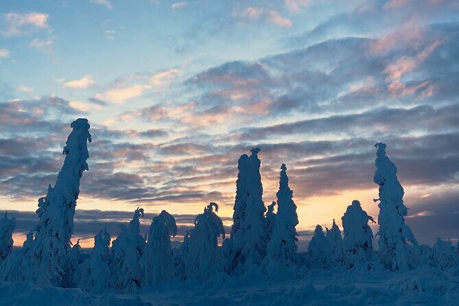 Arctic Circle Day Tour Adventure - Final Thoughts