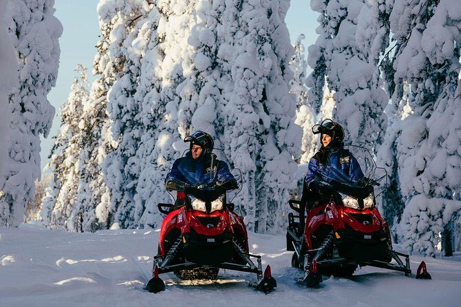 Arctic Circle Snowmobile Safari for Beginners in Rovaniemi - What to Expect from the Tour
