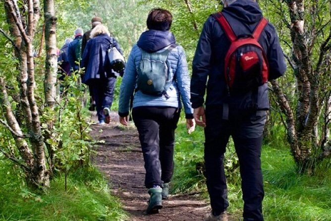 Arctic Coastal Walk - What to Expect from the Arctic Coastal Walk