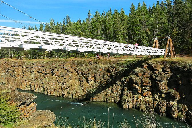 Arctic Day: Hiking Tour | half day - In-Depth Look at the Arctic Day Hiking Tour