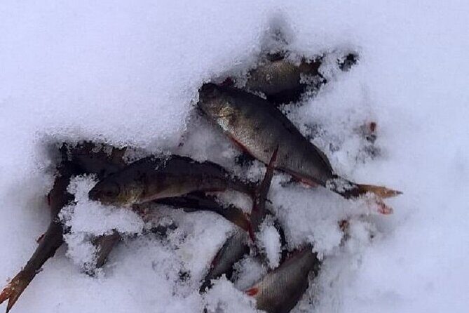 Arctic Day with Ice Fishing and Floating - Exploring the Arctic Day Tour in Detail