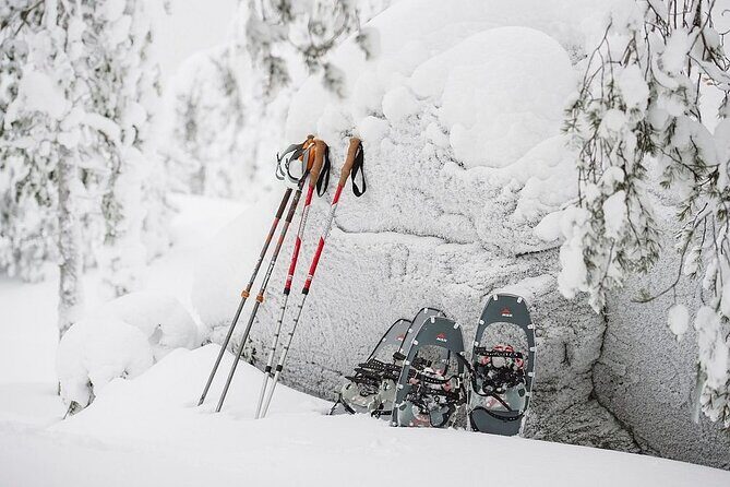 Arctic Day with Ice Fishing and Floating - The Sum Up