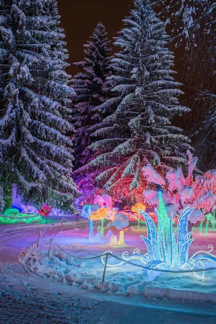 Arctic Fantasy Park Entry Ticket - What to Expect at Arctic Fantasy Park