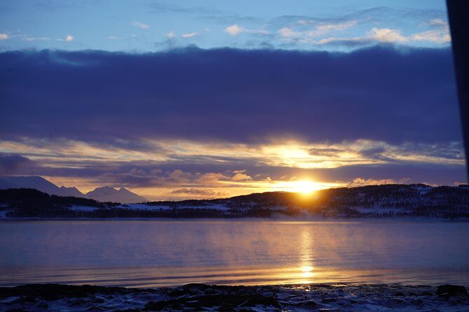 Arctic fjord and Landscape Tour - Our Final Thoughts