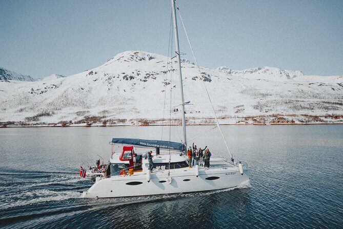 Arctic Fjordcruise & Safari in Tromso with Luxury Catamaran - Final Thoughts