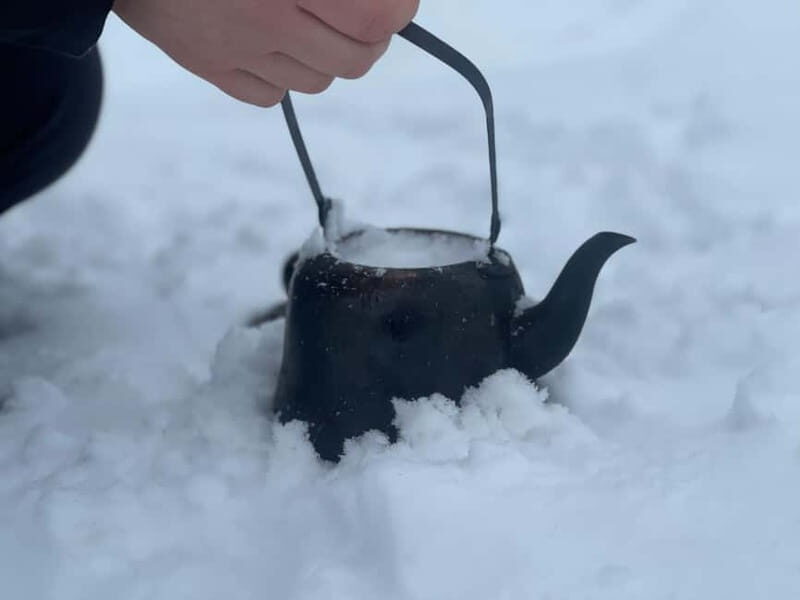 Arctic Gateway: Snowshoeing Expedition in Lapland - What to Expect from the Snowshoeing Expedition