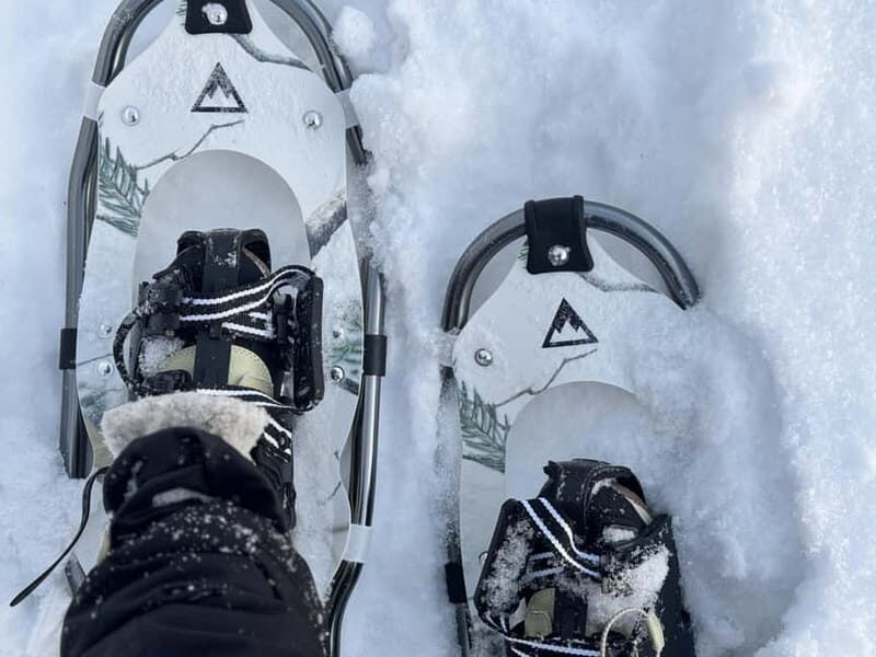 Arctic Gateway: Snowshoeing Expedition in Lapland - Considerations Before Booking