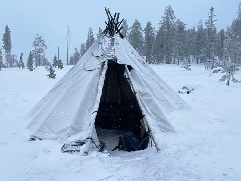 Arctic Gateway: Snowshoeing Expedition in Lapland - Who Is This Tour Best For?