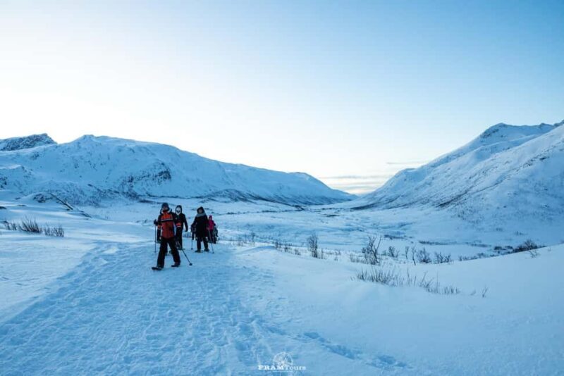 Arctic hike on Kvaløya Island with drinks and snacks - Why Choose This Arctic Snowshoe Adventure?