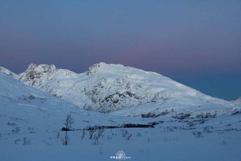 Arctic hike on Kvaløya Island with drinks and snacks - What to Know Before You Go