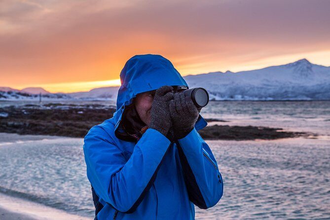 Arctic Nature Tour from Tromsø by minibus - What to Expect from the Arctic Nature Tour