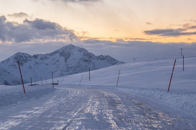 Arctic Nature Tour from Tromsø by minibus - Final Thoughts