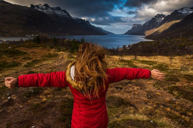 Arctic Nature Tour from Tromsø by minibus - Who This Tour Is Really For