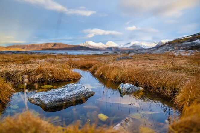 Arctic Nature Tour from Tromsø by minibus - What the Numbers Tell Us