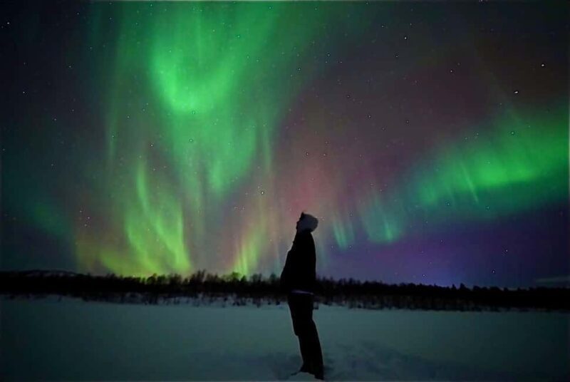 Arctic Northern Lights Escape with Fire BBQ & Expert Guide - The Value of the Experience