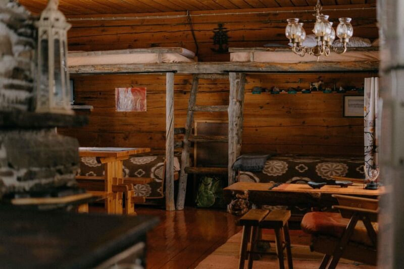 Arctic Reindeer Farm Experience with Snowshoeing in the Wild - A Closer Look at the Experience