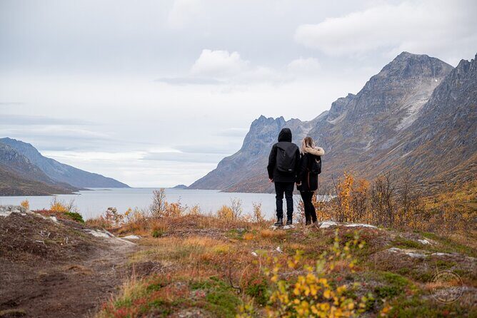 Arctic Roadtrip: fjords with scenic picnic | Private - Key Points