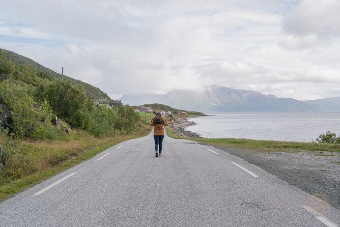 Arctic Roadtrip: fjords with scenic picnic | Private - FAQ