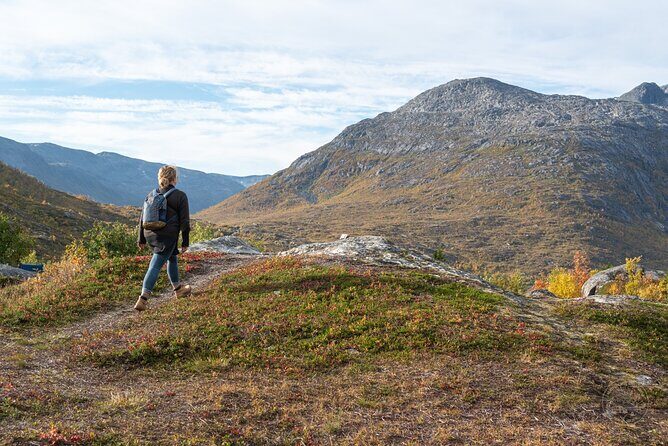 Arctic Roadtrip: fjords with scenic picnic | Sightseeing - Who Is This Tour Best For?